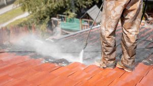 GET YOUR TILE ROOF CLEAN TODAY